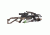 Excalibur Crossbow Micro 355 Crossbow, Realtree Xtra TactZone Package 3355