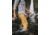ExOfficio Amphi Pant - Mens, Scotch, 30, 1021-3315-2810-30