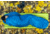 Exped Deepsleep 5C 45F Sleeping Bag, Left, Deep Sea, Long, 7640277846104