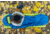 Exped Deepsleep 5C 45F Sleeping Bag, Left, Deep Sea, Long, 7640277846104