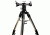 Explore Scientific Twilight II Heavy-Duty Dual-Head Mount and Tripod MAZ02-01
