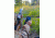 Extreme Dimension Wildlife Calls iHunt XSB Game Call - Bluetooth App &amp; Speaker - 650+ calls EDIHXSB