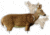 Extreme Dimension Wildlife Calls Phantom HD Decoy - Doe Whitetail ED-PD-503