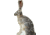 Extreme Dimension Wildlife Calls Phantom HD Decoy - Jack Rabbit ED-PD-513