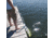 Extreme Max Aluminum Pontoon/Dock Ladder 5 Step, 3005.3383