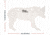 EZ-Aim 15574 Shooting Silhouette Coyote 0.38 Thickness White