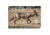 EZ-Aim Allen Paper Four Color Coyote Target, 25X35, 15284
