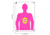 EZ-Aim EZ Aim Fun In The Pink Silhouette Paper Shooting Target, 12in x 18in, 8-Pack, Pink, 15646