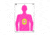 EZ-Aim EZ Aim Fun In The Pink Silhouette Paper Shooting Target, 12in x 18in, 8-Pack, Pink, 15646