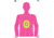 EZ-Aim EZ Aim Fun In The Pink Silhouette Paper Shooting Target, 12in x 18in, 8-Pack, Pink, 15646