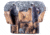 Federal Premium Centerfire Handgun Ammunition .38 Special 120 grain Jacketed Hollow Point Centerfire Pistol Ammo, 20 Rounds, PD38P1