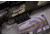 Federal Terminal Ascent 6.5 Creedmoor 130 grain Federal Premium Peak Alloy Cased Rifle Ammunition
