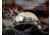 Fenix Lighting HP35R SAR Lithium Ion 4000 Lumens Headlamp