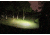 Fenix Rechargeable LED Headlamp,950 Lumens,Black HL60R
