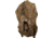 Final Approach Promo Decoy bag