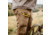 First Lite 308 Lined Pants - Mens