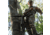 First Lite 308 Whitetail Pants - Mens