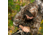 First Lite Approach Hoody - Mens