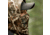 First Lite Approach Hoody - Mens