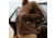 First Lite Challis Fleece Jacket - Mens
