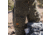 First Lite Corrugate Foundry Pants - Mens