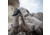 First Lite Omen Over Mittens