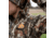 First Lite Phase Jacket - Mens