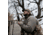 First Lite Primer Puffy Jacket - Mens