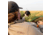 First Lite Rugged Wool Field Shirt - Mens