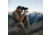 First Lite Suppressor Jacket - Mens