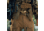 First Lite Trace Pants - Mens