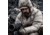 First Lite Whitecloud Down Jacket - Mens