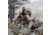 First Lite Whitecloud Down Jacket - Mens