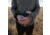 First Lite Yuma Synthetic Long Sleeve Crew - Mens