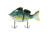 Fish Lab Bio-Gill 3 Piece Hard Wake Bait, Floating Action, VMC Hooks, Black Crappie, 4in, 7/8oz, BGW-4-BC