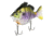Fish Lab Bio-Gill 3 Piece Hard Wake Bait, Floating Action, VMC Hooks, Dark Bluegill, 5in, 1-5/8oz, BGW-5-DB