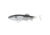 Fish Lab Bio-Minnow Weedless Swim Bait, Baitfish, 5in 7/8oz, Sinking Action, 2 Pack, SWB-5-BF