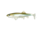 Fish Lab Bio-Minnow Weedless Swim Bait, Hitch, 6-1/4in 1-3/4oz, Sinking Action, 2 Pack, SWB-6.25-H