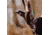 Fish Monkey Backcountry II Gloves, Fall Water Camo, L, FM29-FALLWTRCAM-L