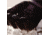 Fish Monkey Backcountry II Gloves, Fall Water Camo, L, FM29-FALLWTRCAM-L