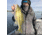 Fish Monkey Yeti Fleece Face Guard, Grey, One size, FM41-GRY