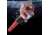 Fisher F-Pulse Pinpointer Waterproof, Red, Standard, F-PULSE