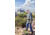 Fisher Gold Bug Metal Detector w/5in DD Search Coil, Black, Standard, GOLDBUG