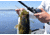 Fitzgerald Fishing VLD10 Reels, 7.2 Gear, Left Hand, Silver, VLD10-721-L