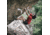 Five Ten Niad VCS Climbing Shoes - Mens, Mesa/Core Black/Ftwr White, 11.5, FW2849-11.5