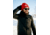 Fjallraven 1961 Logo Hat, True Red, One Size, F78142-334-OS