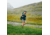 Fjallraven Abisko Midsummer Skort - Womens, Patina Green, 36, F84780-614-36