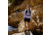 Fjallraven Abisko Wool Hoodie - Womens