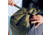 Fjallraven Farden 80 L Duffel Bag