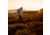 Fjallraven Keb Latt Wind Jacket - Womens